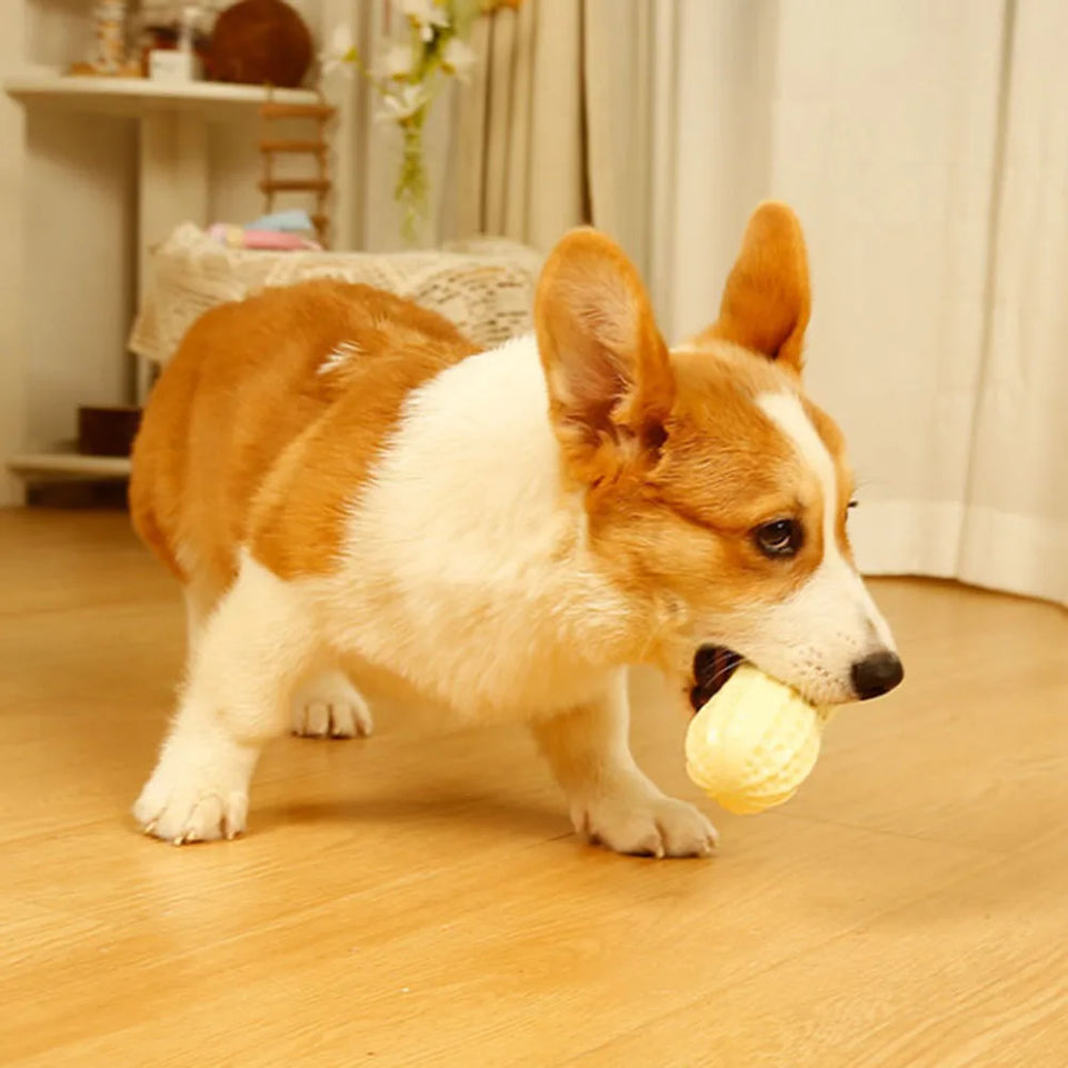 Dog Toy, Durable Chew Squeaky Ball for Teeth Grinding, Peanut - Shaped Interactive Play Toy for Dogs
