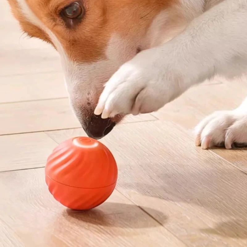 Dog Toy Ball Automatic Interactive Pet Electric Rolling Toy USB Rechargeable Moving Bouncing For Puppy Interactive Dog Chew Toy