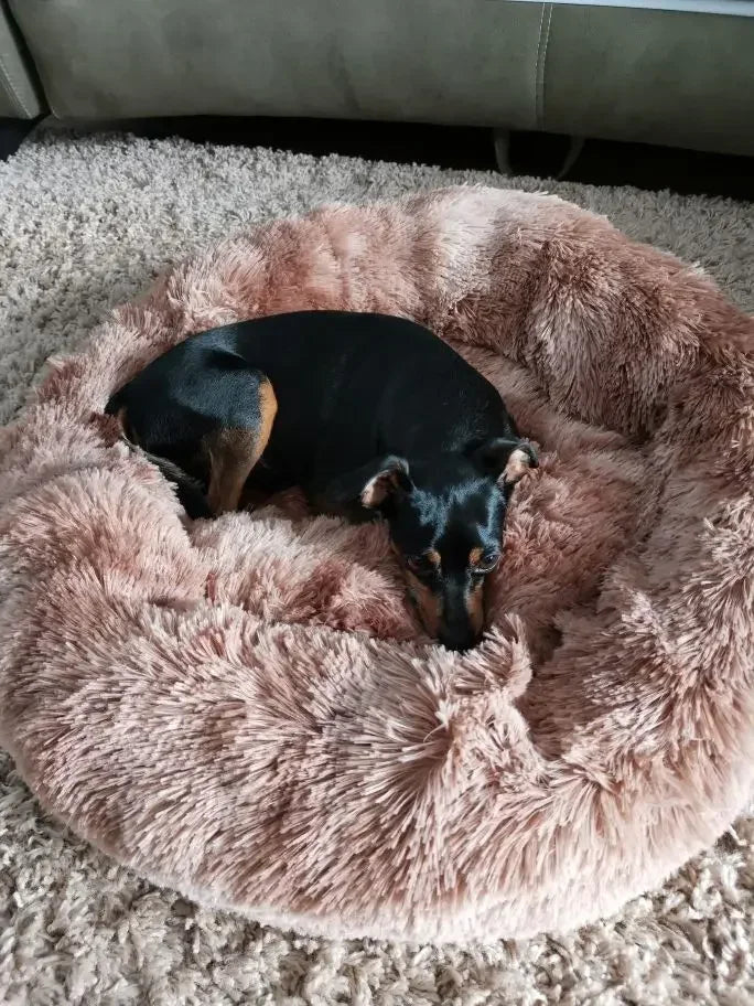 Pet Dog Bed For Dog Large Big Small For Cat House Round Plush Mat Sofa Dropshipping Products Pet Calming Bed Dog Donut Bed