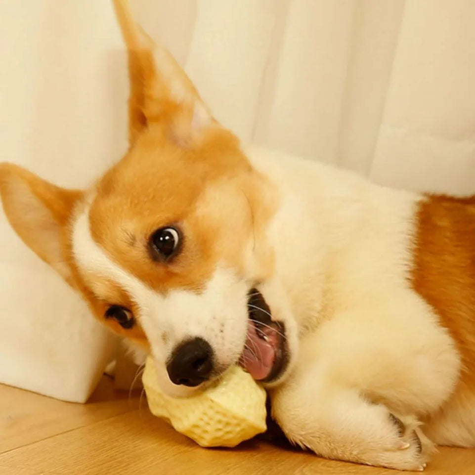 Dog Toy, Durable Chew Squeaky Ball for Teeth Grinding, Peanut - Shaped Interactive Play Toy for Dogs