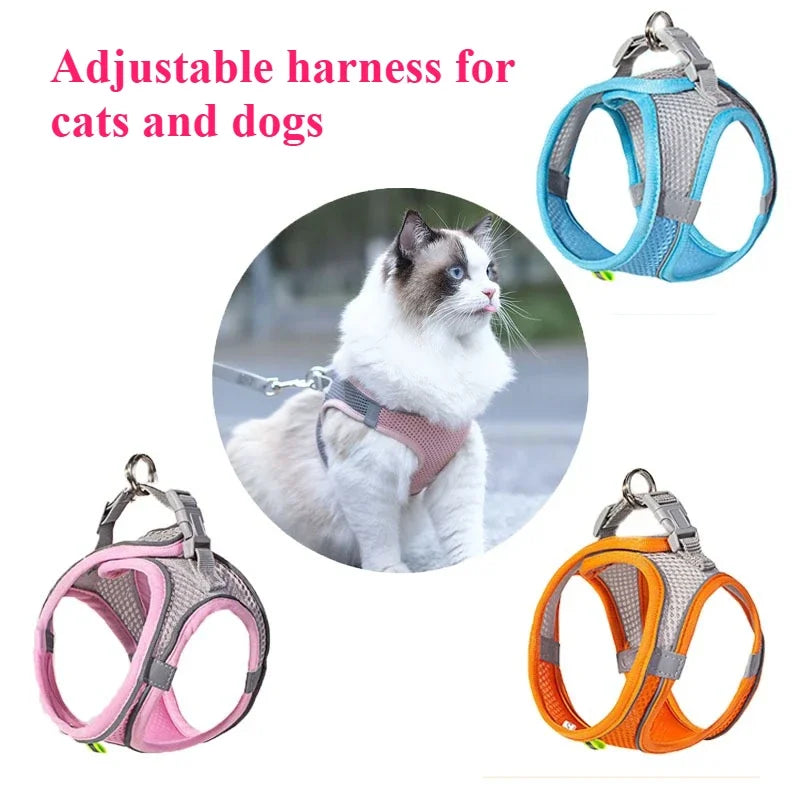 Large Squeaky Pet Dog Toy-Plush Dog Toys with Soft Fabric for Small Medium Large Dogs Daily Companionship, Training Reward Gift