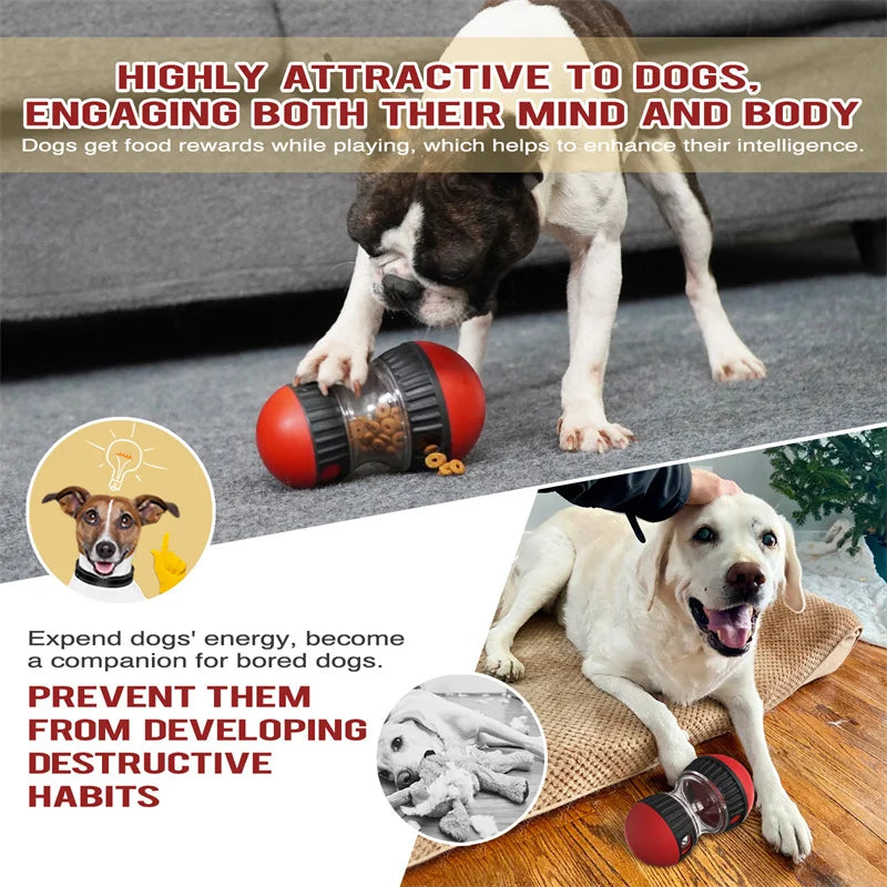 Dog Toy Improve IQ Interactive Puppy Toys For Small Medium Dogs Cat Slow Feeder Ball Labrador Golden Retriever Pet Supplies