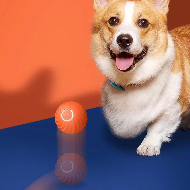 Dog Toy Ball Automatic Interactive Pet Electric Rolling Toy USB Rechargeable Moving Bouncing For Puppy Interactive Dog Chew Toy