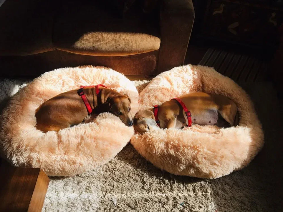 Pet Dog Bed For Dog Large Big Small For Cat House Round Plush Mat Sofa Dropshipping Products Pet Calming Bed Dog Donut Bed