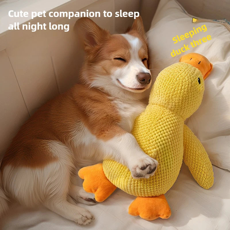 Eco-Friendly Plush Duck Dog Toys - Small/Medium Chew Toys with Squeaker & Biting Molars, Soft Embossed Cotton Duck Pet Toys