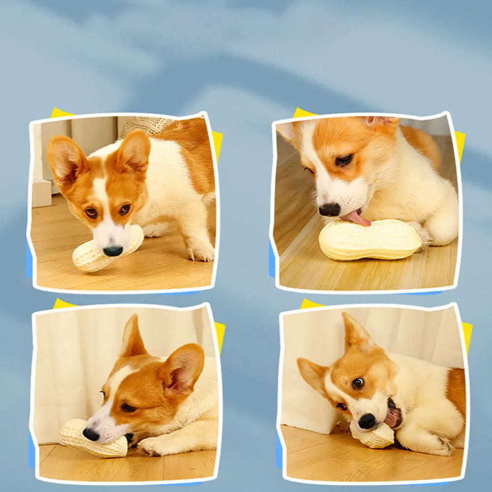 Dog Toy, Durable Chew Squeaky Ball for Teeth Grinding, Peanut - Shaped Interactive Play Toy for Dogs