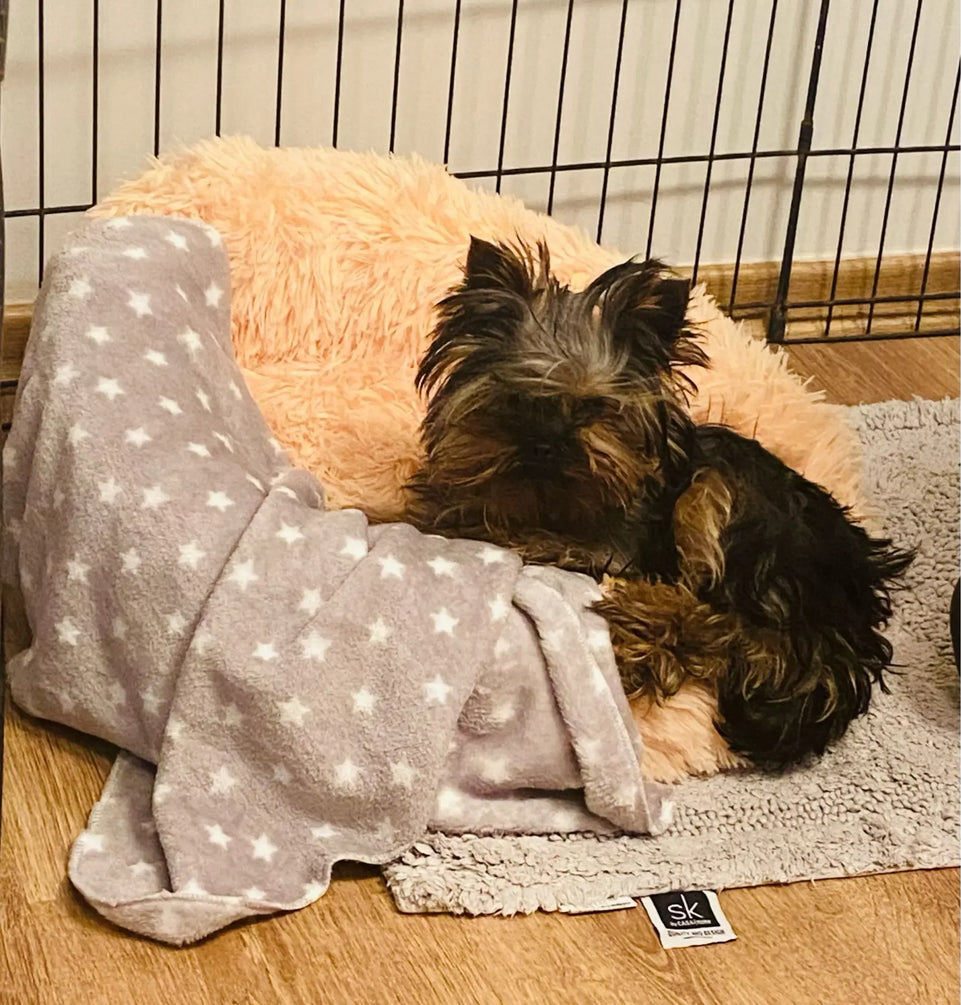 Pet Dog Bed For Dog Large Big Small For Cat House Round Plush Mat Sofa Dropshipping Products Pet Calming Bed Dog Donut Bed