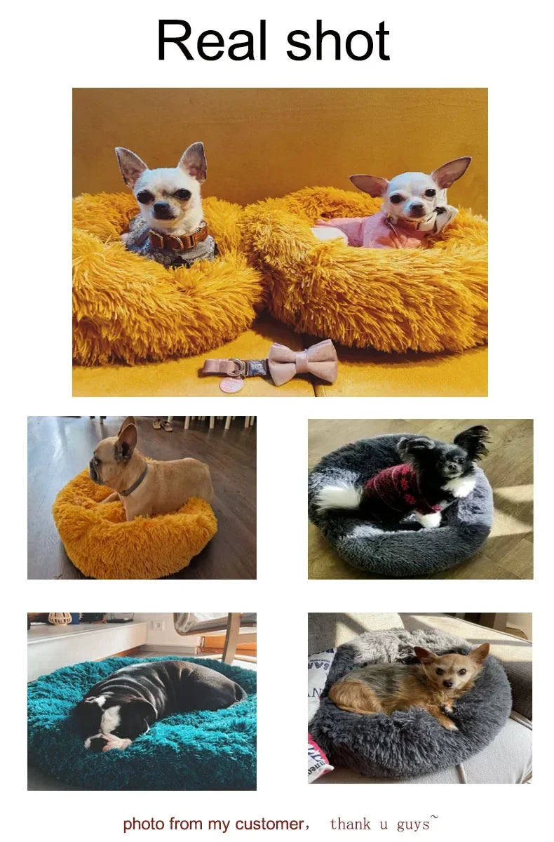 Pet Dog Bed For Dog Large Big Small For Cat House Round Plush Mat Sofa Dropshipping Products Pet Calming Bed Dog Donut Bed