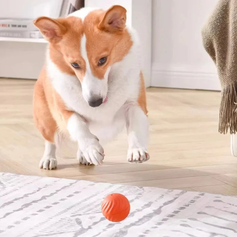 Dog Toy Ball Automatic Interactive Pet Electric Rolling Toy USB Rechargeable Moving Bouncing For Puppy Interactive Dog Chew Toy